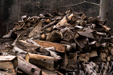 Wooden background. Firewood stack for the background. A lot of cutted logs. Stack of sawn logs. Natural wooden decor background. Pile of chopped fire wood prepared for winter.