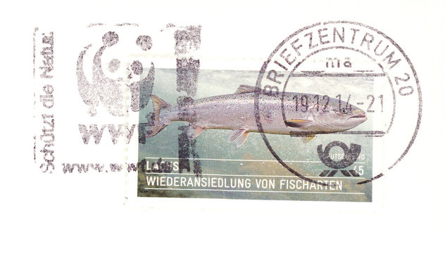 Briefmarke Stamp Deutschland Germany Gestempelt Used Fisch Lachs Slogan Werbung WWF Panda Wiederansiedlung