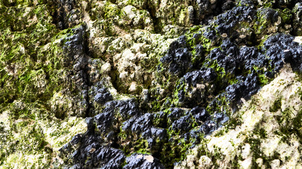 concrete after long erosion color