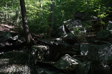waterfall in the forest