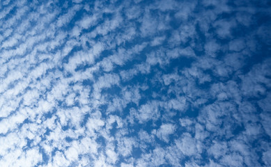 Fototapeta premium Blue sky with lamb clouds