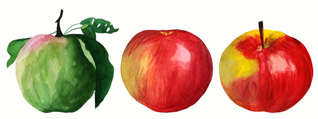 Watercolor illustration of two red apples and green apple with leaves isolated on white background. Each one is separately. Perfect for making printed products, prints, scrapbooking or background.