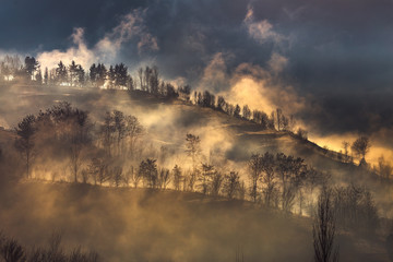 Sunrise over beautiful rural landscape, sunlight filtered by trees through mist
