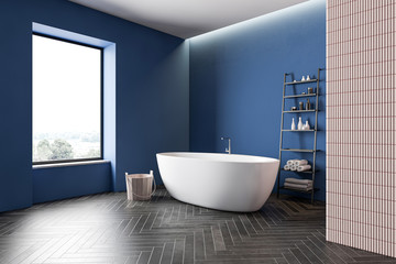 Blue and beige bathroom corner with tub