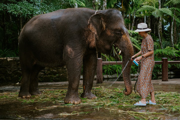 Fototapeta na wymiar Girl washing an elephant on Bali