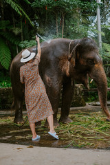 Fototapeta premium Girl washing an elephant on Bali