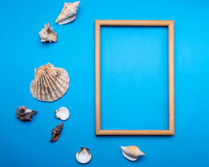 Frame and shells on a blue background. mock-up