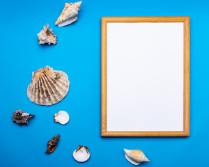 Frame and shells on a blue background. mock-up