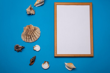 Frame and shells on a blue background. mock-up