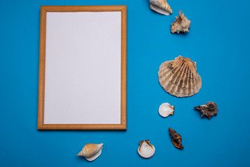 Frame and shells on a blue background. mock-up