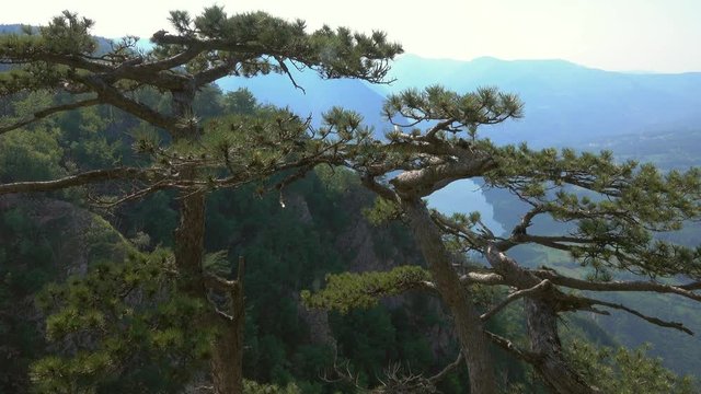 Viewpoint Banjska stena rock at Tara mountain looking down to Canyon of Drina river, Serbia, panorama 4k