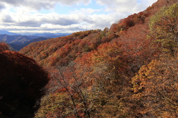 日塩もみじライン　紅葉