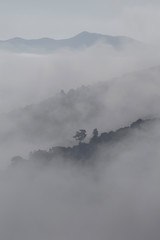 UNESCO World Heritage, a foggy sunrise in Douro Valley, Sao Joao da Pesqueira, Viseu, Portugal.