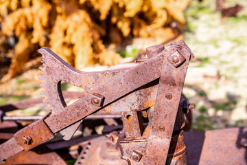 rustic farm equipment
