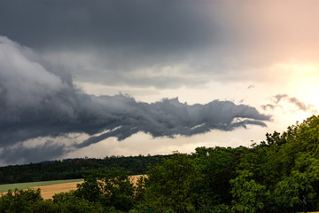 Fototapeta premium Tropical fruit