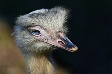 arts day on the river