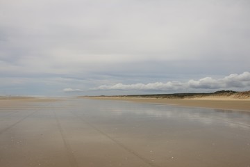 90 miles beach in New zealand