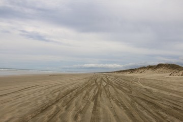 90 miles beach in New zealand