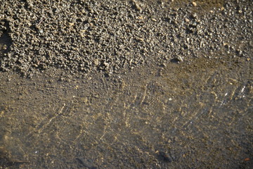 River water flow in the forest