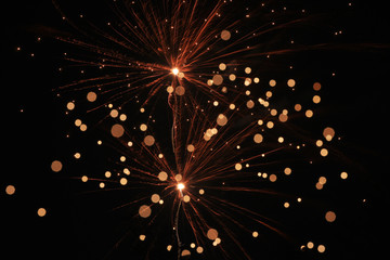 Fototapeta premium Colorful firework