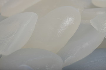 Macro shot of 