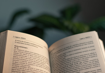 open law book with plant in background and warm light from the side