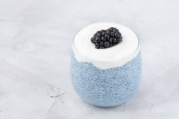 Fototapeta na wymiar Overnight blue spirulina or blue matcha powder chia seed pudding with yogurt and fresh blackberries in glass. Superfood and vegan food concept. Copy space, gray background