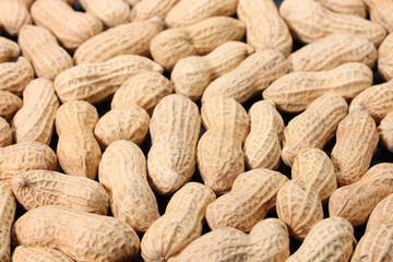 たくさんの落花生