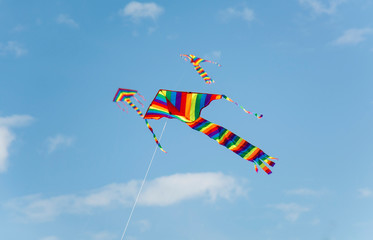 Colorful Kite Flying in the sky, Bondi Beach Sydney
