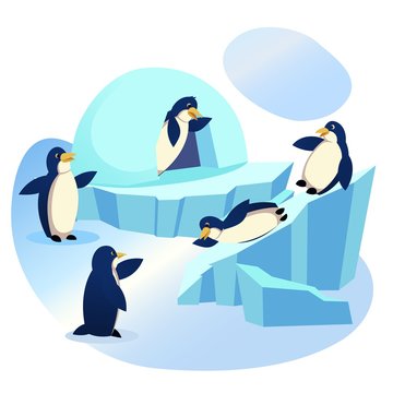 Waterfowl Aquatic Flightless Birds Wildlife in Animal Park, Zoo, Group of Funny Penguins Playing on Ice Floe with Icehouse, Skating from Snowy Slide, Lifestyle, Nature Cartoon Flat Vector Illustration
