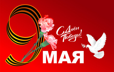 May 9 Victory Day text translation from Russian. Greeting card Victory Day dove of peace and bouquet of red carnations