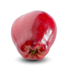Red apple on white background
