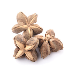 star bean isolated on white background