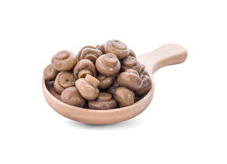 Brown champignon isolated on white background