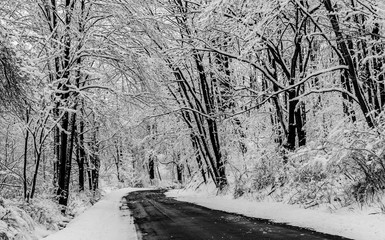 black and white snowy road scene in Pennsylvania 