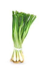 fresh green onions isolated on white background