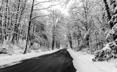 black and white snowy road scene in Pennsylvania 