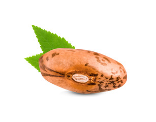 Pile of pinto beans isolated on white background