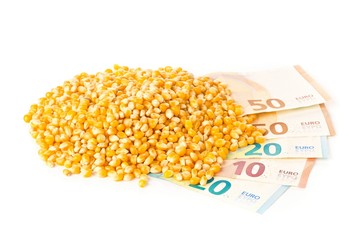 Heap of corn or maize kernels with euro banknotes over white background - corn cost or prize concept