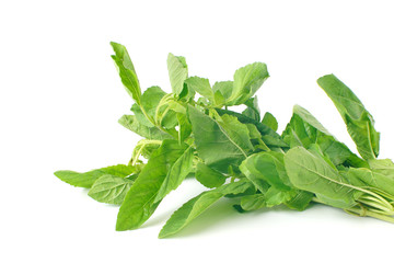 Ingredients of Thai food Basil Vegetable isolated on white background