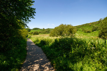 Fototapeta na wymiar Pathway through a nature park in Wales