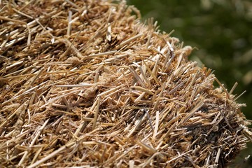 close up view on hay bale