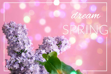 Spring background design with purple blue lilac flowers and bokeh