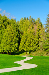 Beautiful golf course with gorgeous green and cart path.