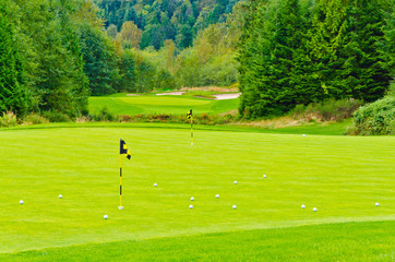 Fototapeta na wymiar Golf place with gorgeous green