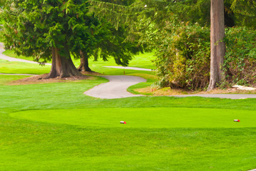 Golf place with nice green and curved path. Shallow depth of field. Focus on the teeing area.