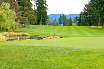Golf place with nice green and pond.