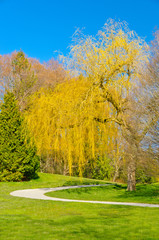 Beautiful golf course with gorgeous green and cart path.