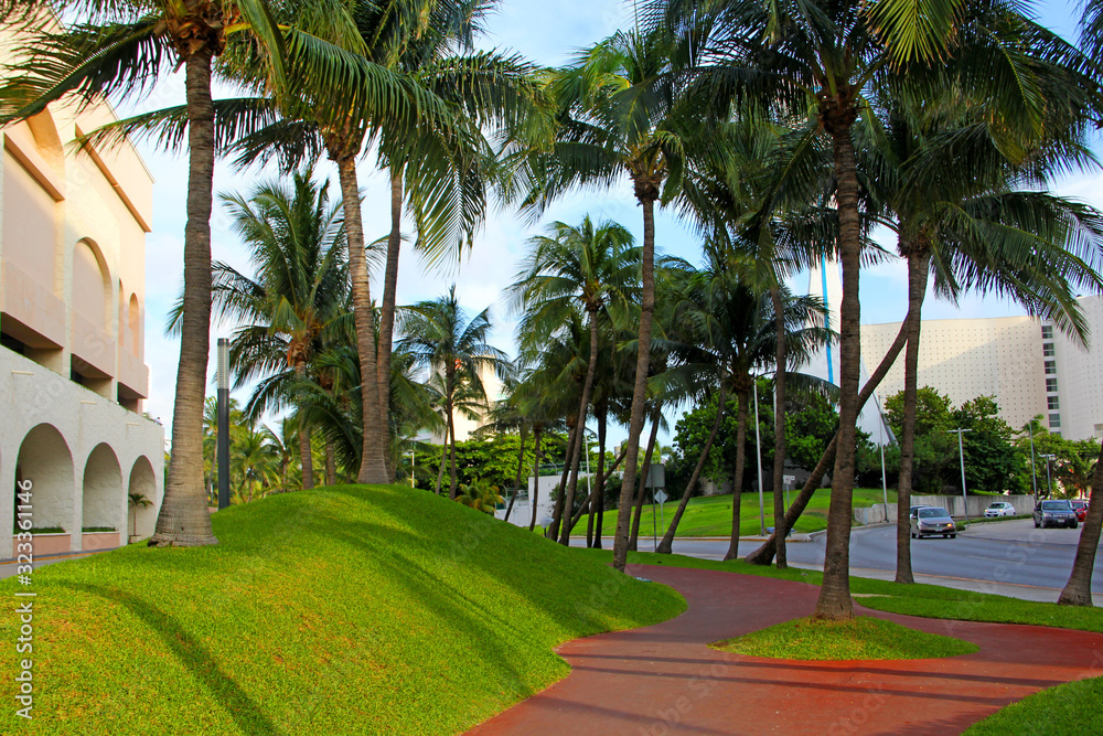 Wall mural palm trees in park