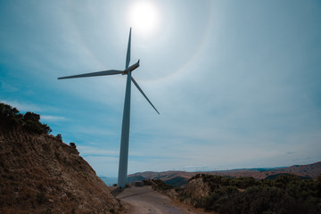 Fototapeta na wymiar Wind farm on Makara, Wellington